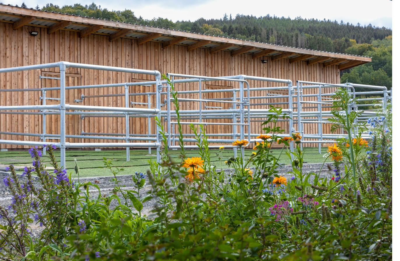 Einzelboxen mit Auslauf